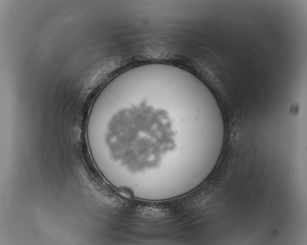 X0000112010635200908171444