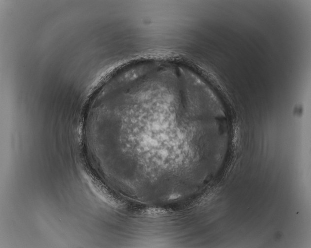 X0000112010636200908171444