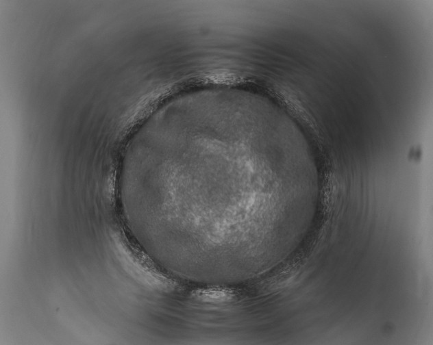 X0000112010639200908171444