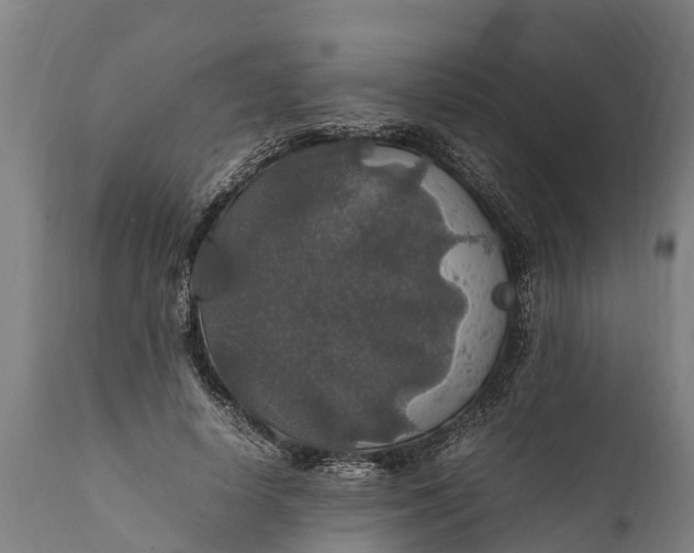 X0000112010642200908171444