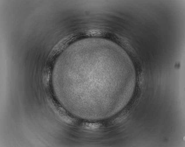 X0000112010645200908171444