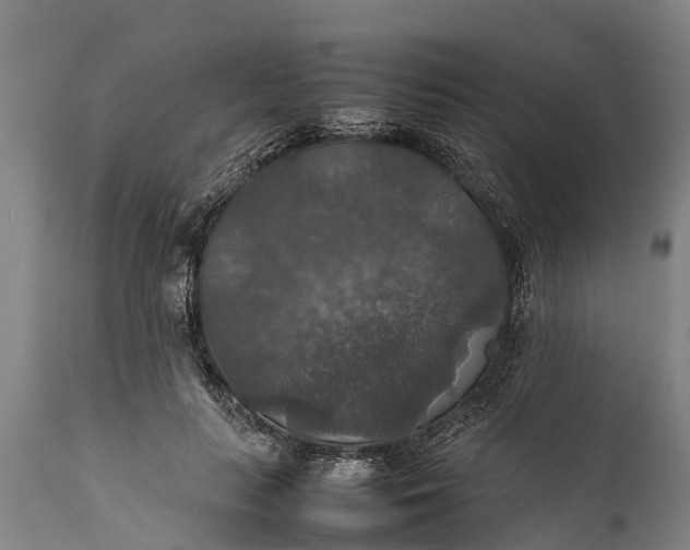 X0000112010647200908171444