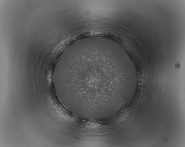 X0000112010648200908171444