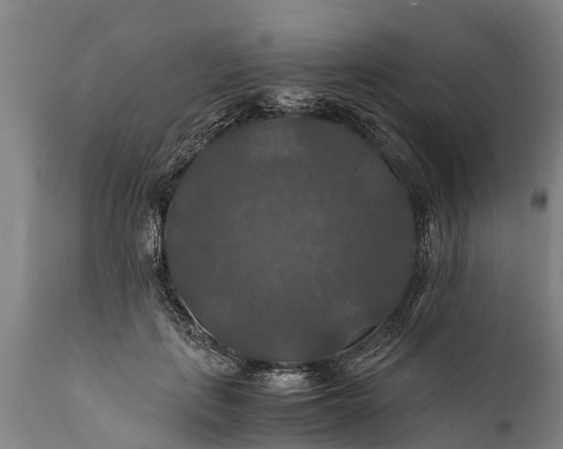 X0000112010651200908171444