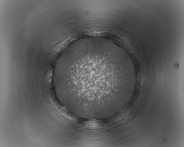 X0000112010652200908171444