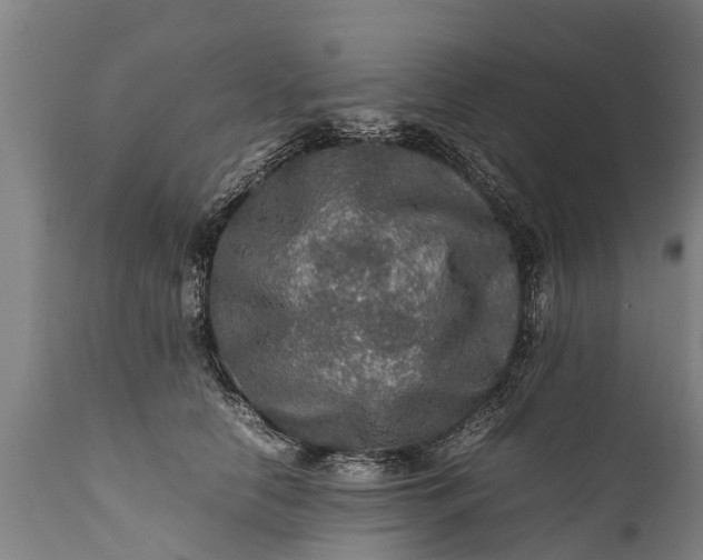 X0000112010658200908171444