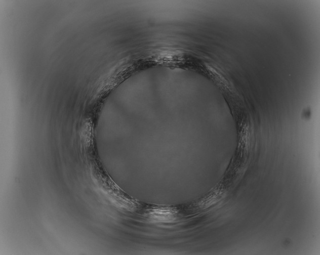 X0000112010659200908171444