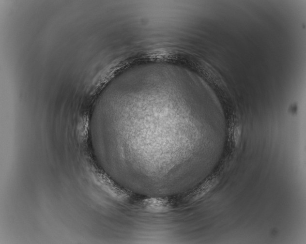 X0000112010660200908171444