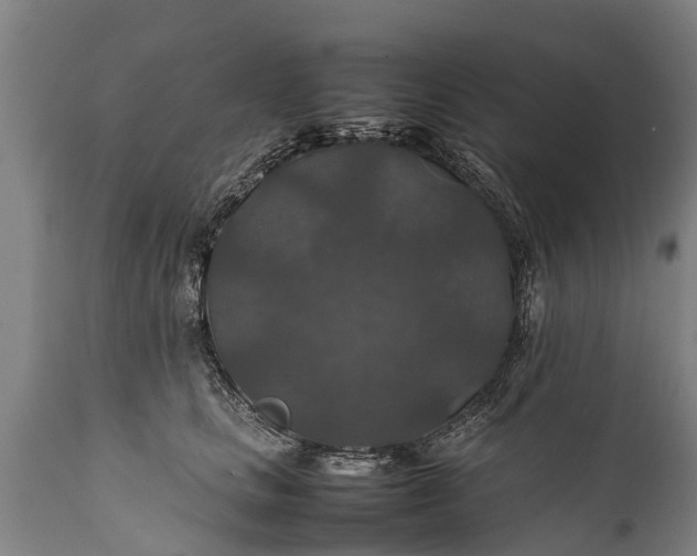 X0000112010661200908171444