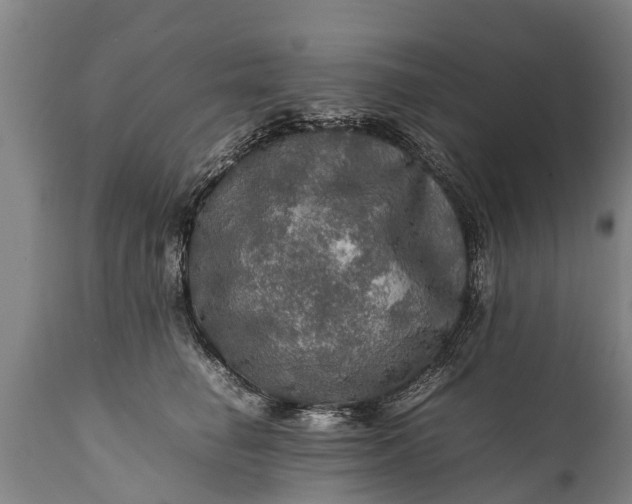 X0000112010662200908171444