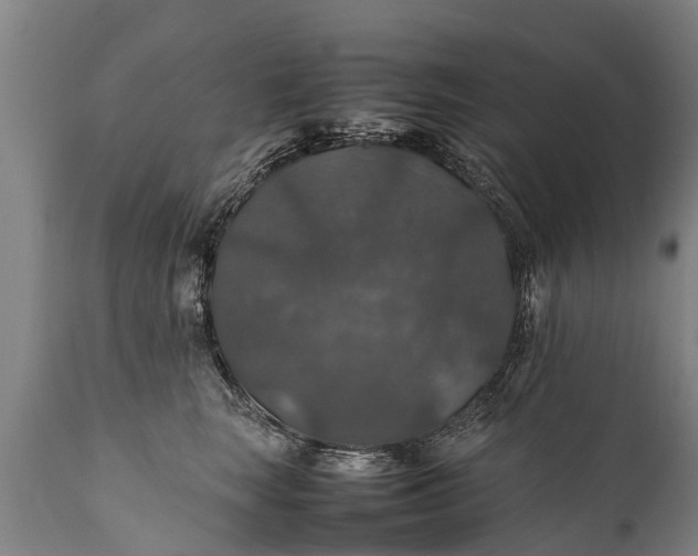 X0000112010663200908171444