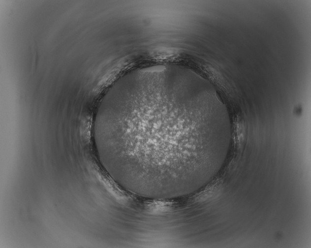 X0000112010664200908171444