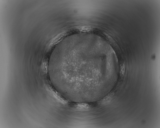 X0000112010666200908171444