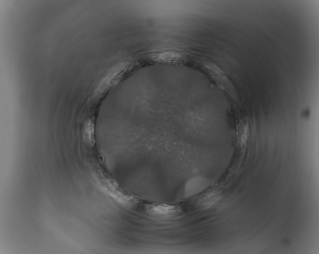 X0000112010669200908171444