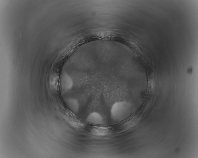 X0000112010671200908171444