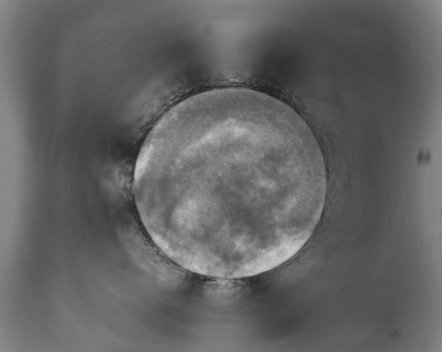 X0000112010672200908171444