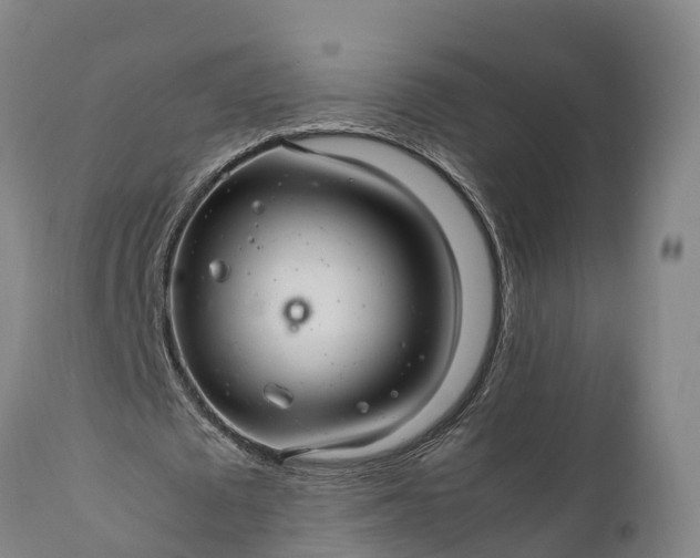 X0000112010673200908171444