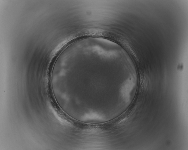 X0000112010674200908171444