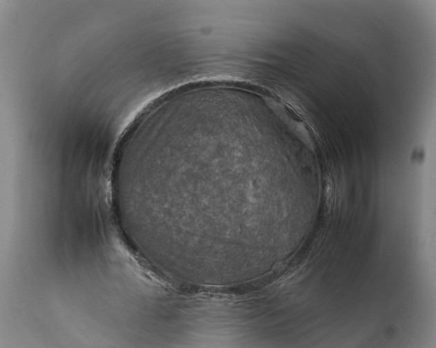 X0000112010676200908171444