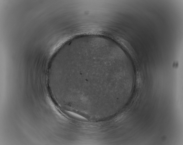 X0000112010677200908171444