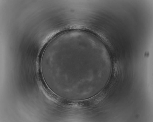 X0000112010678200908171444