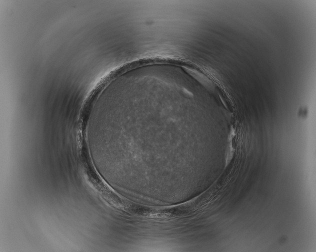 X0000112010680200908171444