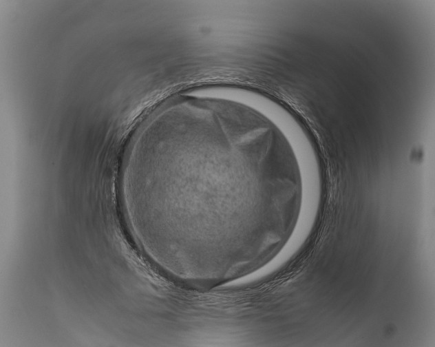 X0000112010681200908171444