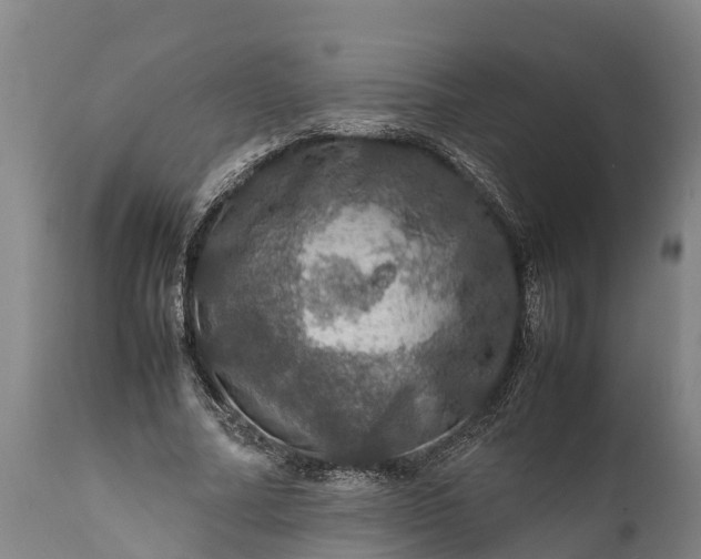 X0000112010682200908171444