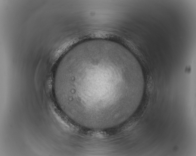 X0000112010683200908171444