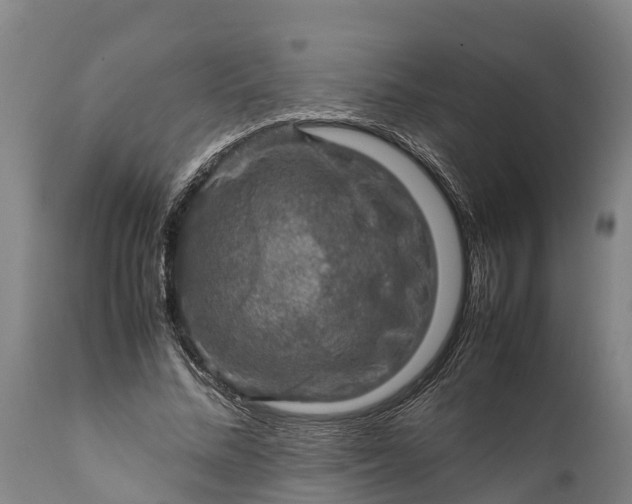 X0000112010684200908171444