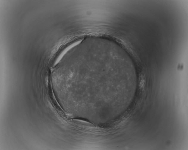 X0000112010685200908171443