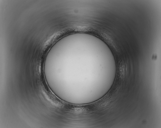 X0000112010686200908171443