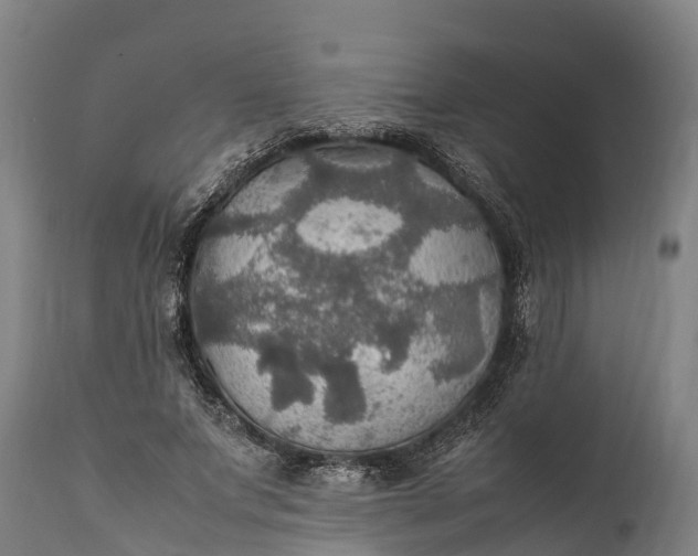 X0000112010687200908171443