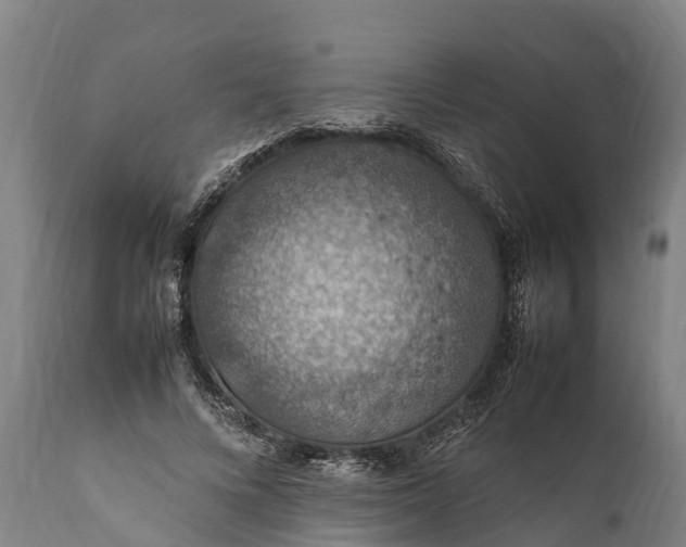 X0000112010688200908171443