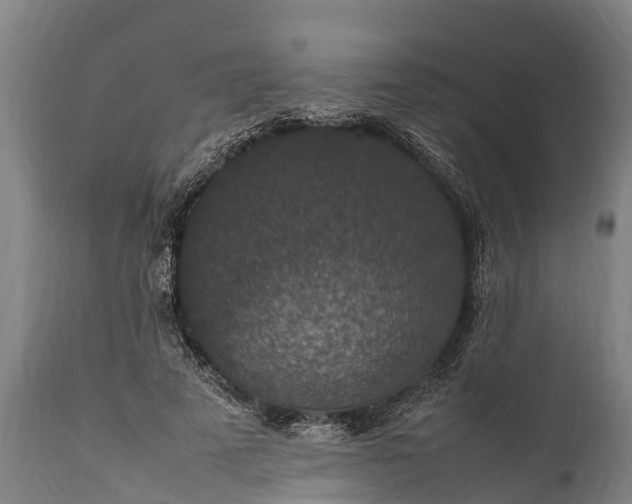 X0000112010689200908171443