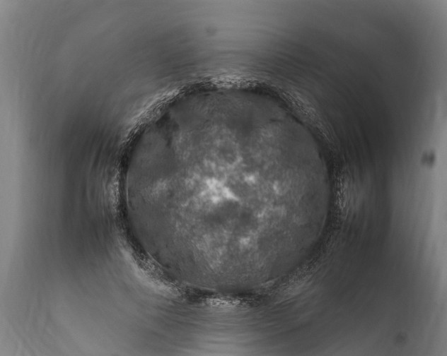 X0000112010690200908171443