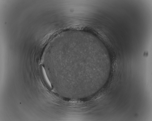 X0000112010693200908171443