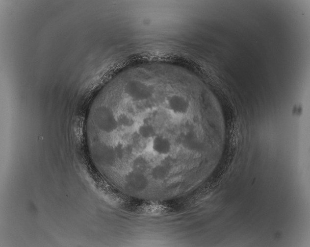 X0000112010695200908171443