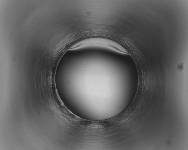 X0000112010696200908171443