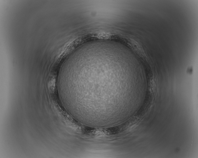 X0000112010697200908171443