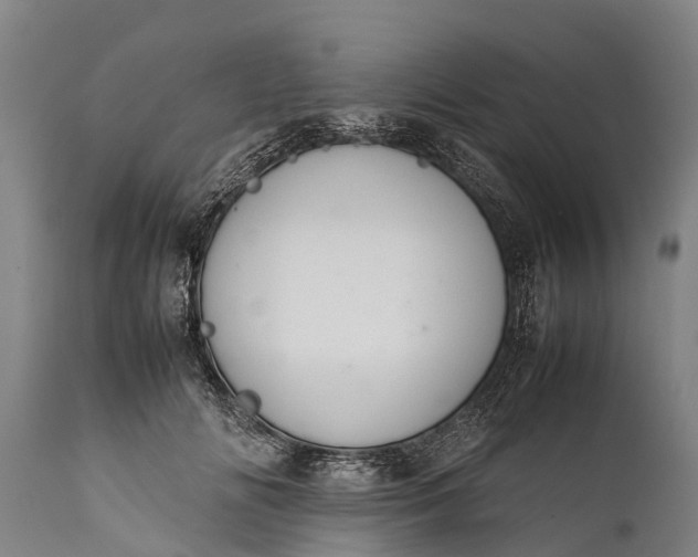 X0000112010702200908171443