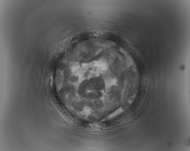 X0000112010703200908171443