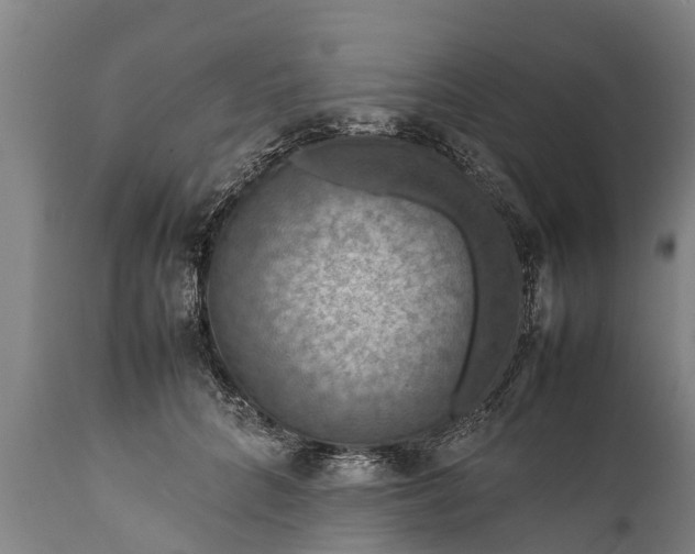 X0000112010704200908171443