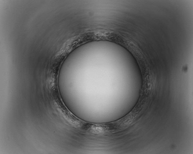 X0000112010706200908171443