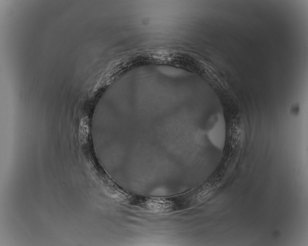 X0000112010707200908171443