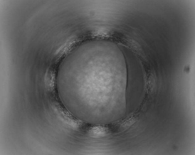 X0000112010708200908171443