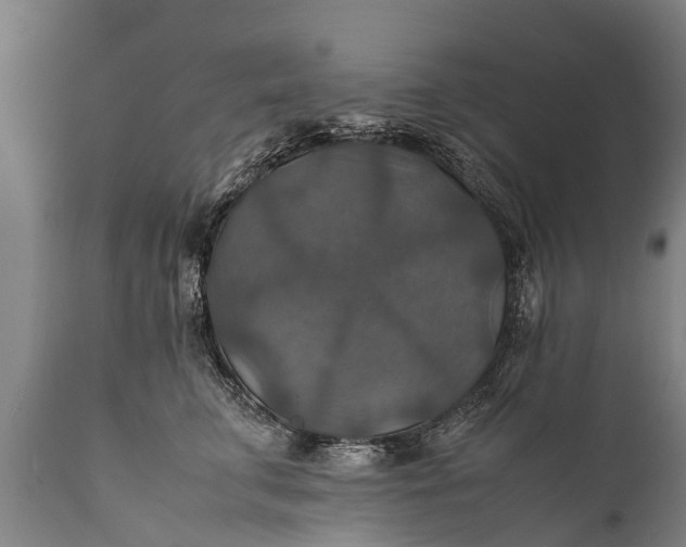 X0000112010711200908171443