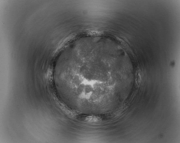 X0000112010714200908171443