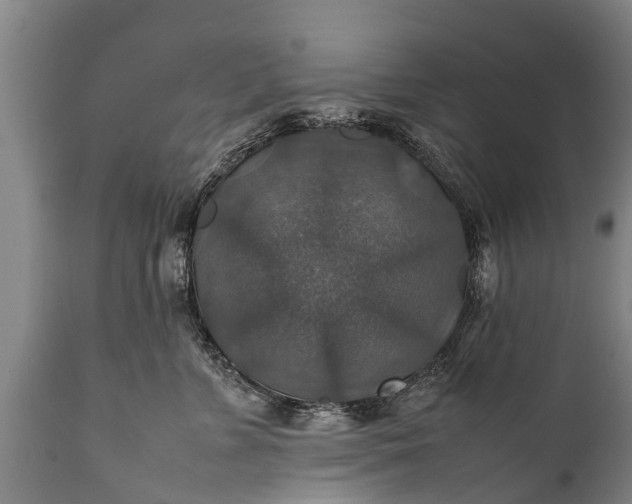 X0000112010715200908171443