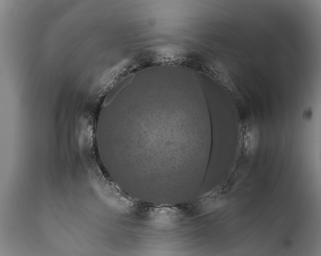 X0000112010716200908171443